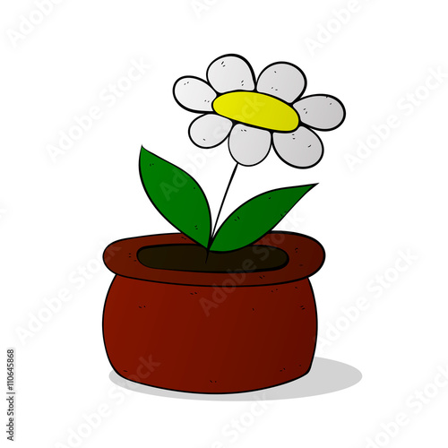 chamomile flower in pot colorized