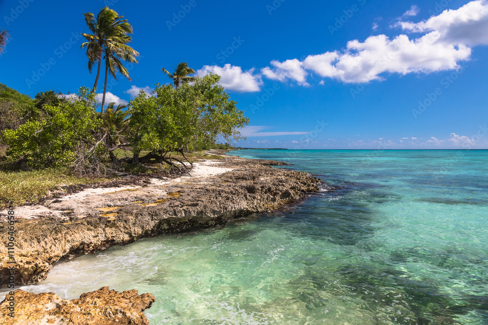 Wild coral tropical beach, Saona Island, Caribbean Sea