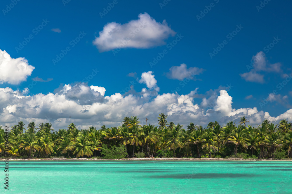 Panoramic view of Exotic Palm trees and lagoon on the tropical Island beach Panoramic view of Exotic Palm trees and lagoon on the tropical Island beach
