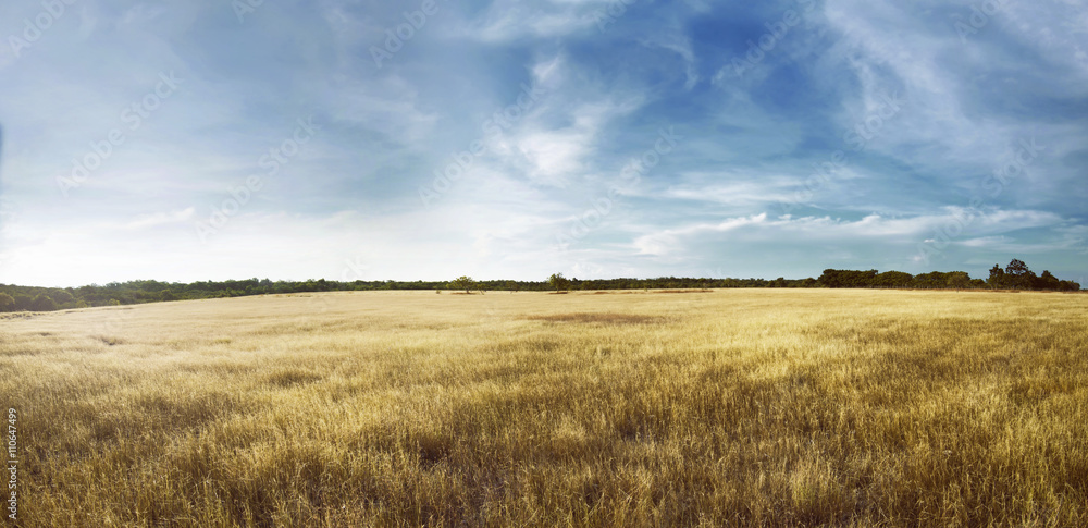 Obraz premium Para kambera landscape