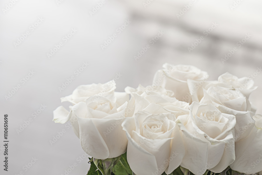Fototapeta premium white roses close-up