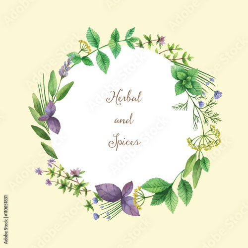 Watercolor vector hand painted frame with herbs and spices. 
