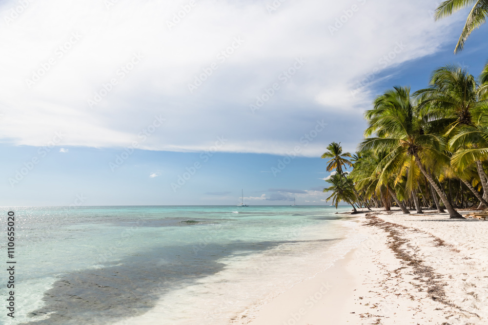 Caribbean beach with palms, paradise island