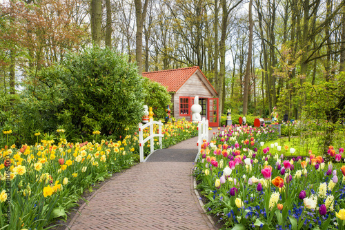 Canvas-taulu Beautiful spring flowers in Keukenhof park in Netherlands