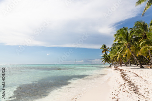 Caribbean beach with palms, paradise island