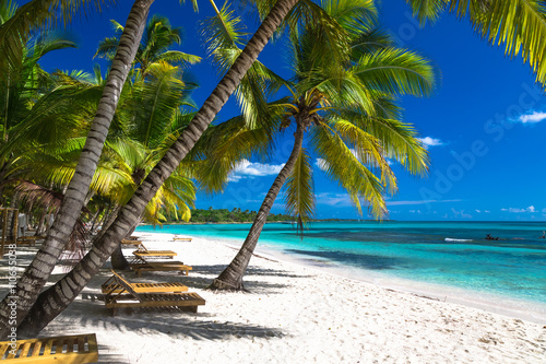 Fototapeta Tropical beach in caribbean sea, Saona island, Dominican Republic