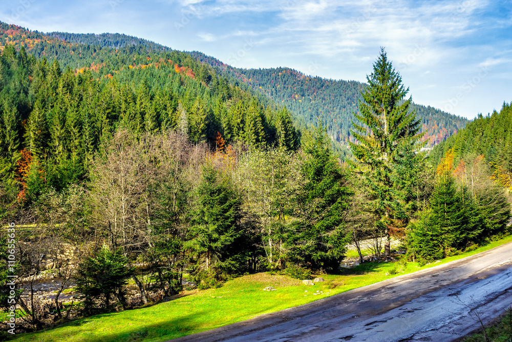 mountain road in autumn forest mountain road in autumn forest