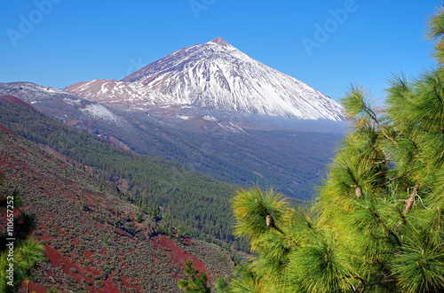 El Teide National Park, Tenerife, Canary Islands, Spain