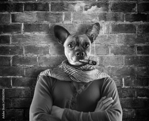 Bad dog /Photomanipulation portrait of a human dog smoking a cigar