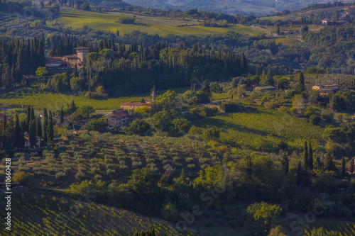Chianti vineyard, Tuscany, Italy