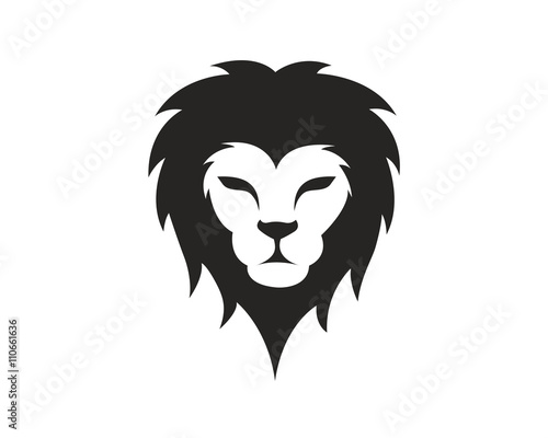 Fototapeta Naklejka Na Ścianę i Meble -  Lion