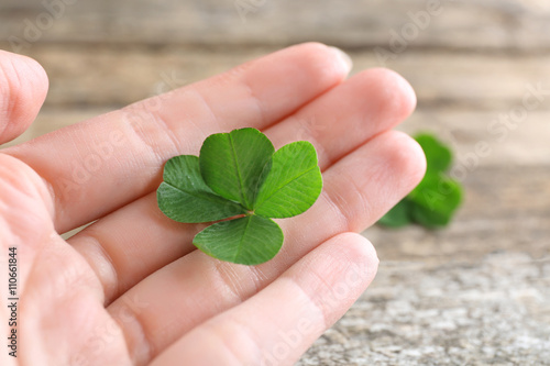 Female hand holding clover leaf, closeup