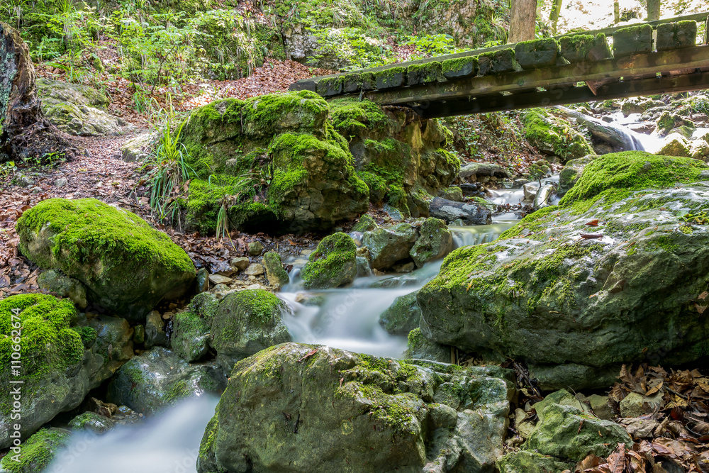 Wasser fliesst dich den Bach im Wald Wasser fliesst dich den Bach im Wald