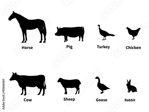 Silhouettes set of livestock