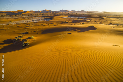 View of red dunes in  in the Namib Desert  in Sossusvley  in the Namib-Naukluft National Park of Namibia