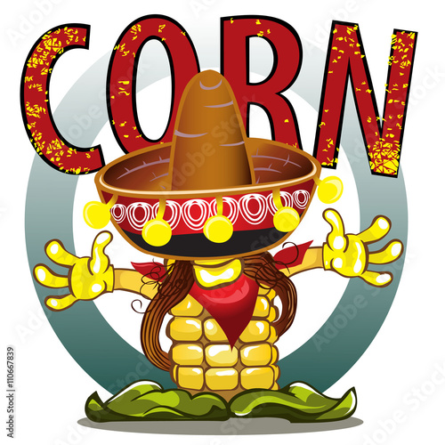 Corn cobs on white background. 