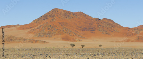 View of red dunes in  in the Namib Desert, in Sossusvley, in the Namib-Naukluft National Park of Namibia photo