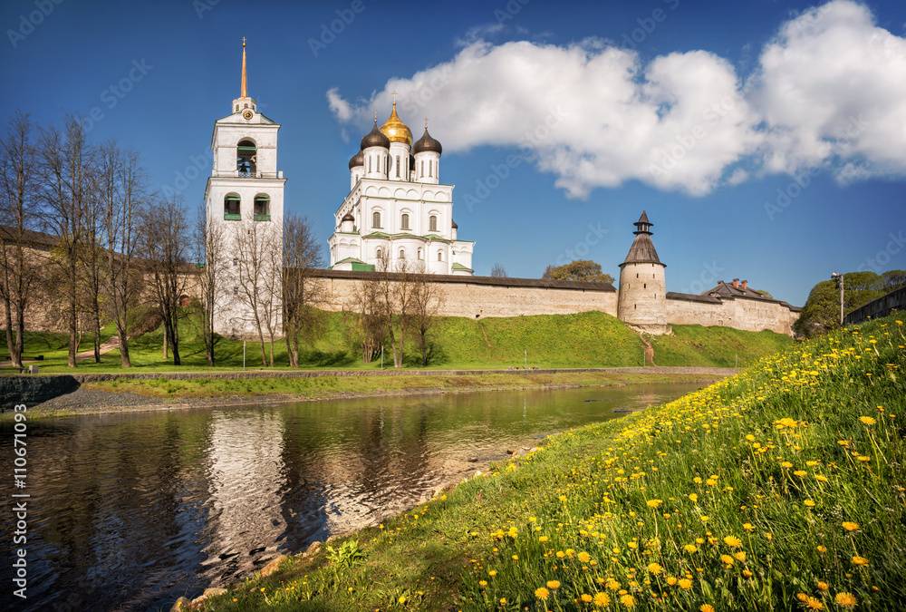 Одуванчиковое покрывало Dandelion veil Одуванчиковое покрывало Dandelion veil