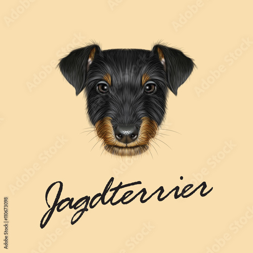 Vector Illustrated Portrait of Jagdterrier dog.