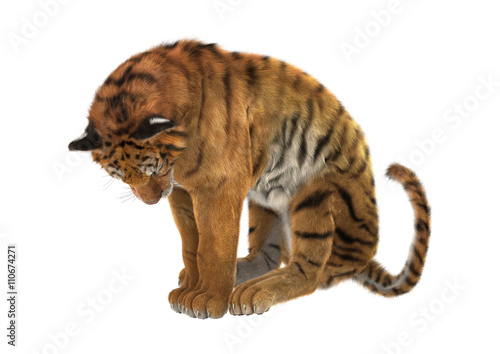 Fototapeta Naklejka Na Ścianę i Meble -  3D Rendering Tiger on White