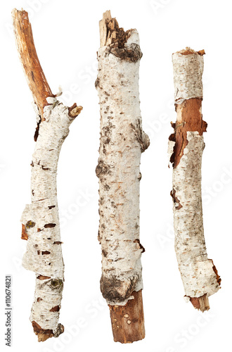 Birch tree sticks
