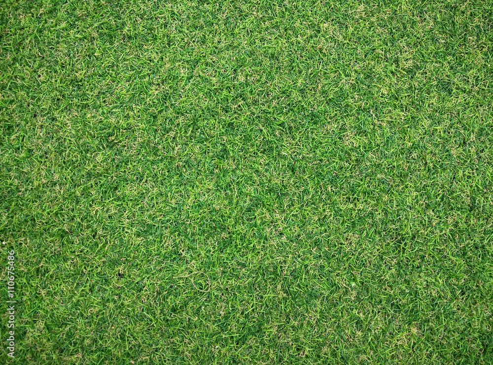 Obraz premium artificial grass