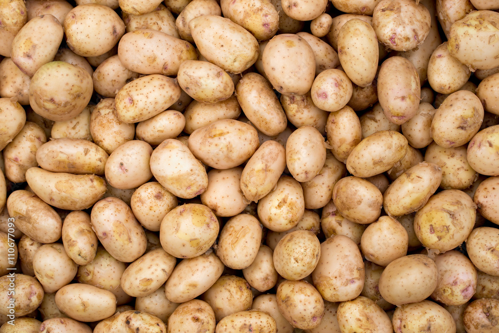 Fresh  whole potatos on a background