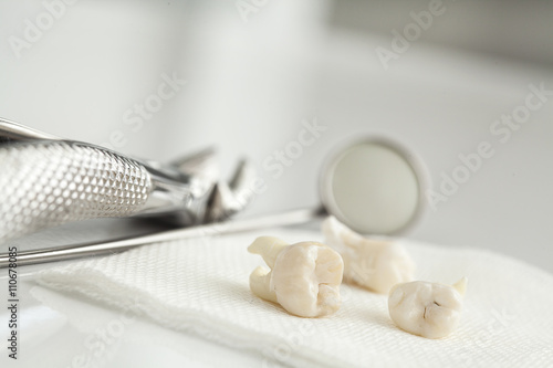 Removed wisdom tooth on white