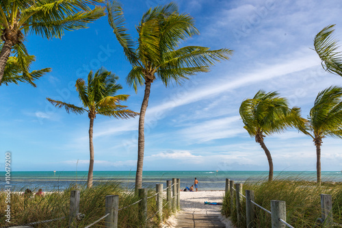 Blue sky with white sand and palm beach in Key West  USA