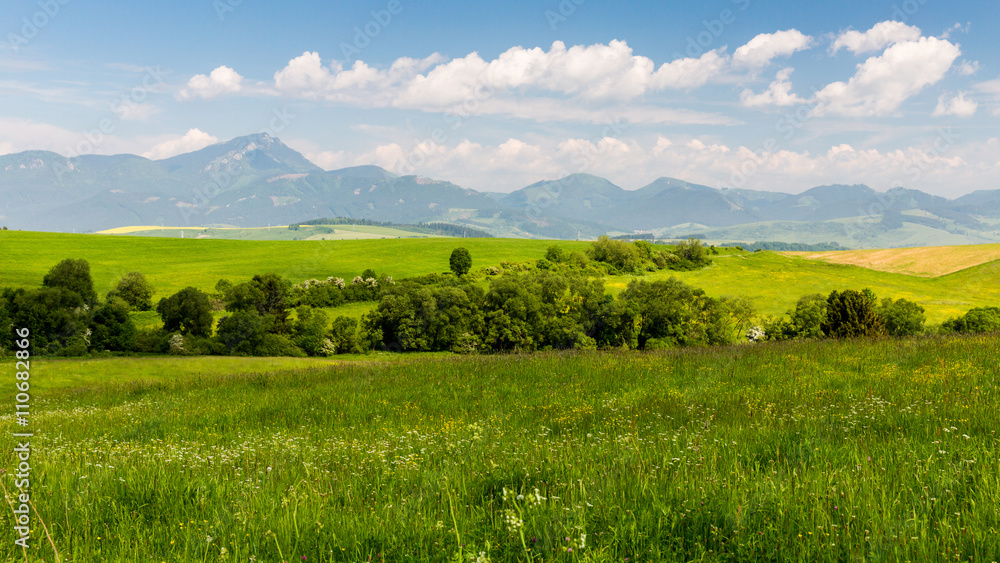 Nature in Liptov region, Slovakia in summer 2015