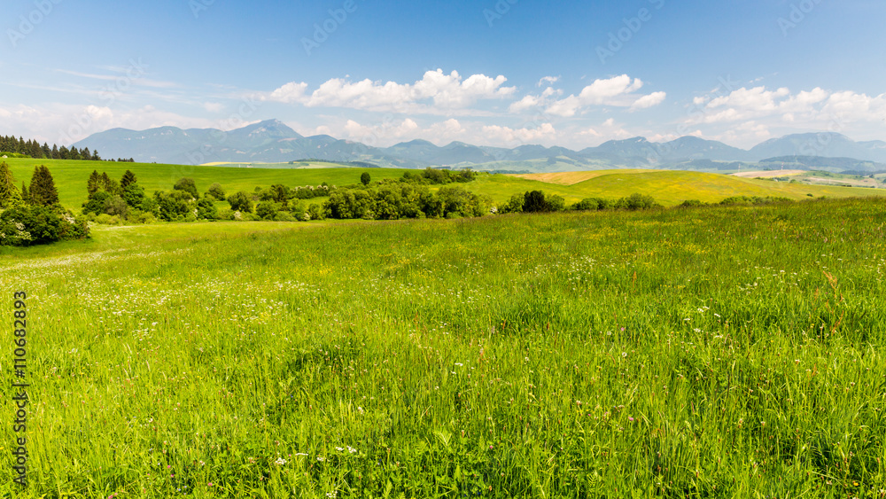 Nature in Liptov region, Slovakia in summer 2015