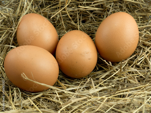 Four Eggs on a haystack