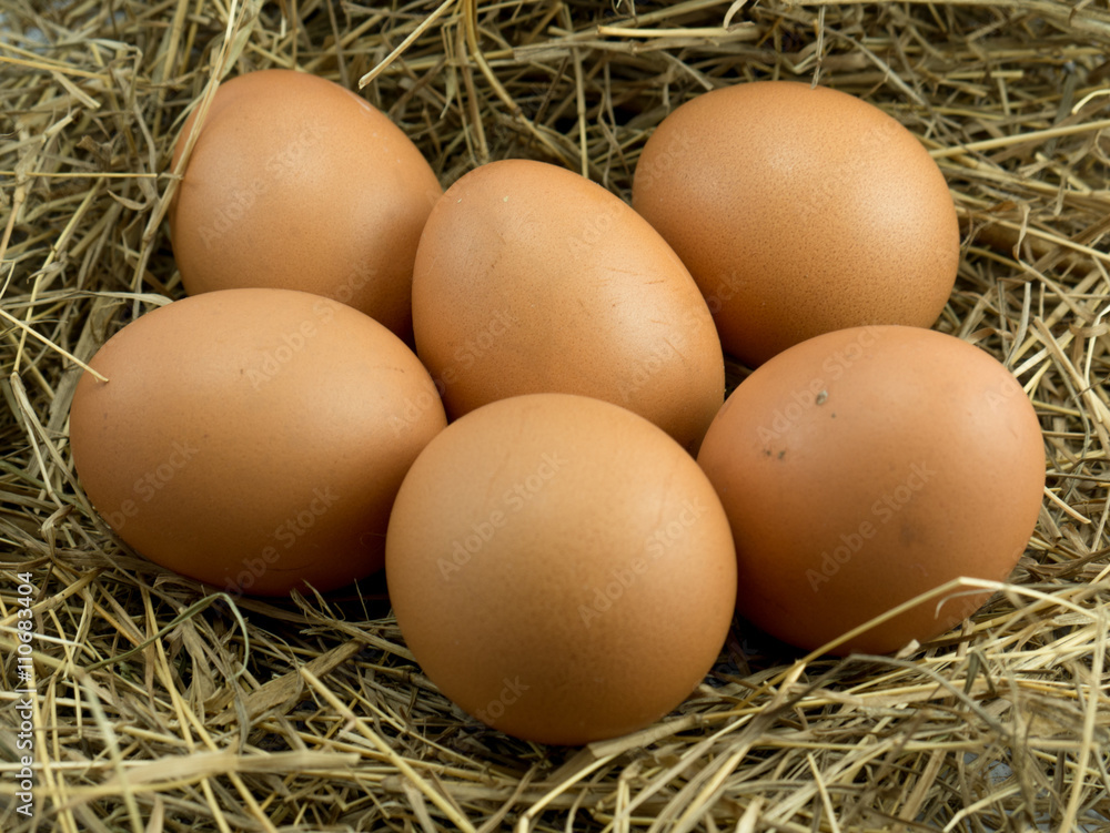 Six Egg on a haystack