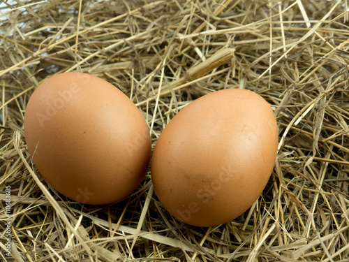 Two Eggs on a haystack