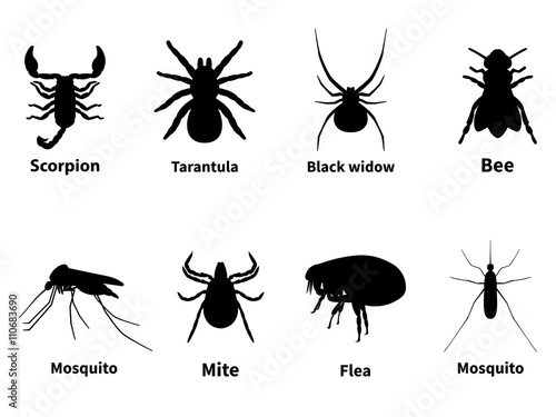 Silhouettes of harmful stinging insects
