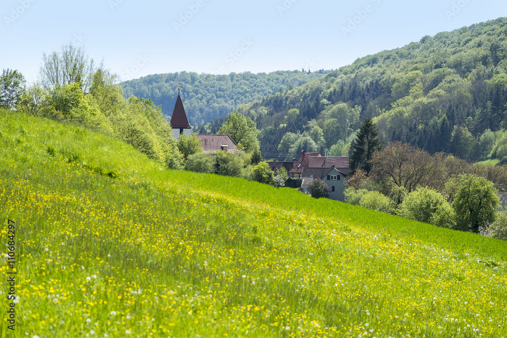 rural springtime scenery around Steinkirchen - obrazy, fototapety, plakaty 