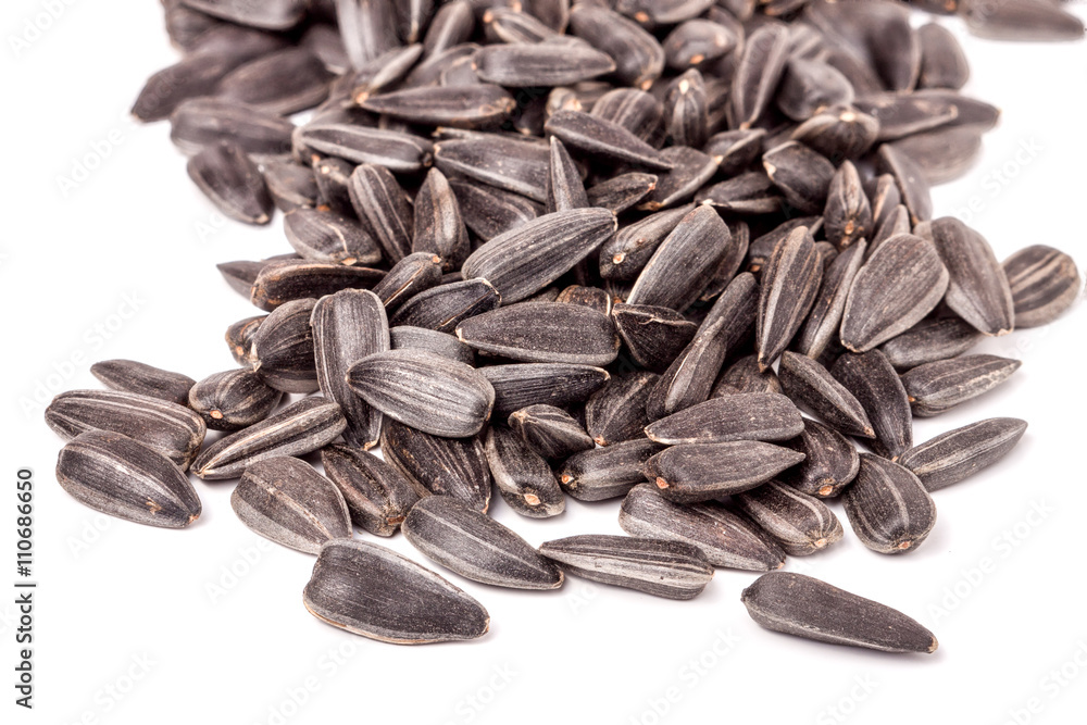 unpeeled sunflower seeds on a white background unpeeled sunflower seeds on a white background