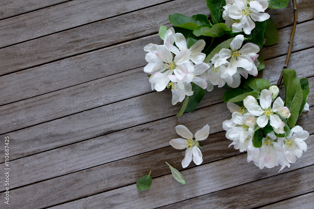 Apple tree flowers on a wooden table, selective focus. Space for Apple tree flowers on a wooden table, selective focus. Space for