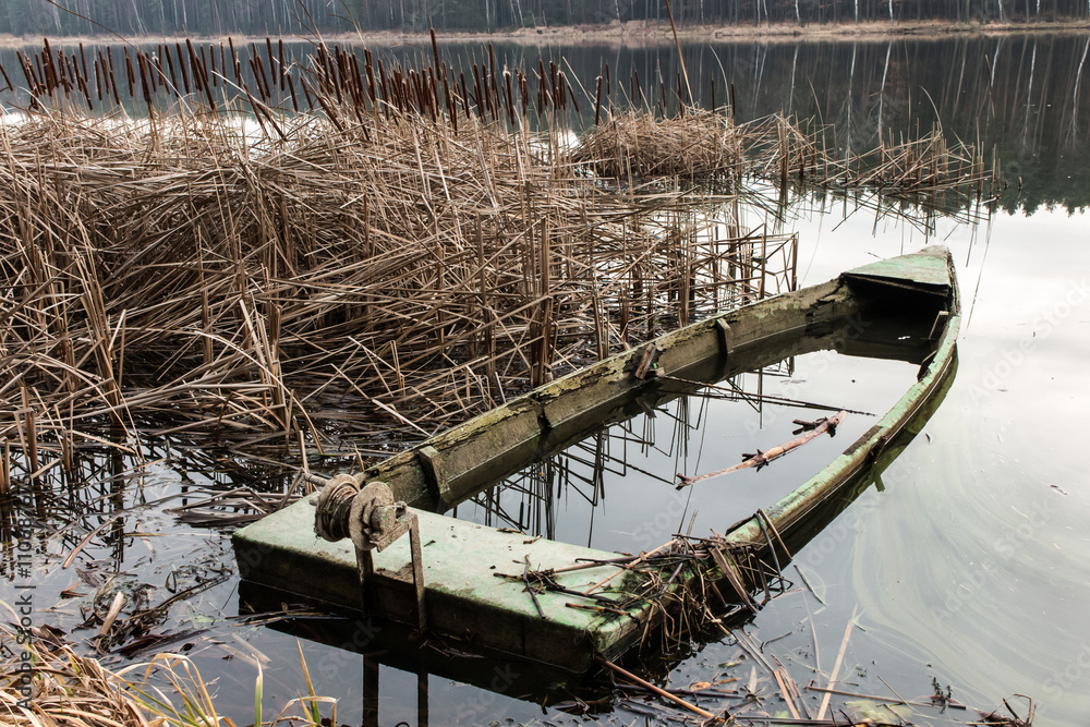 old wooden boat full of water in the reeds