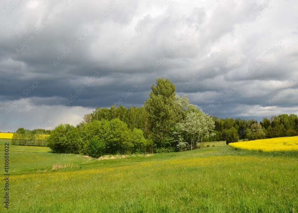 Schwarze Regenwolken über Frühlingslandschaft mit Rapsfeld und Baumblüte Schwarze Regenwolken über Frühlingslandschaft mit Rapsfeld und Baumblüte