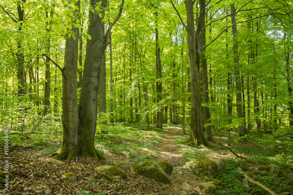 Naturreservat i Torna Hällestad