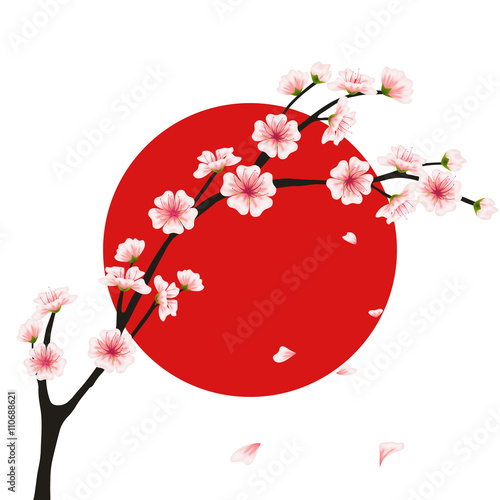 Vector sakura branch, flag. Realistic floral asian design for menu, invitation, greeting, wedding cards, websites, broshures, booklets, wallpapers in japanese style. Hanami festival flowers