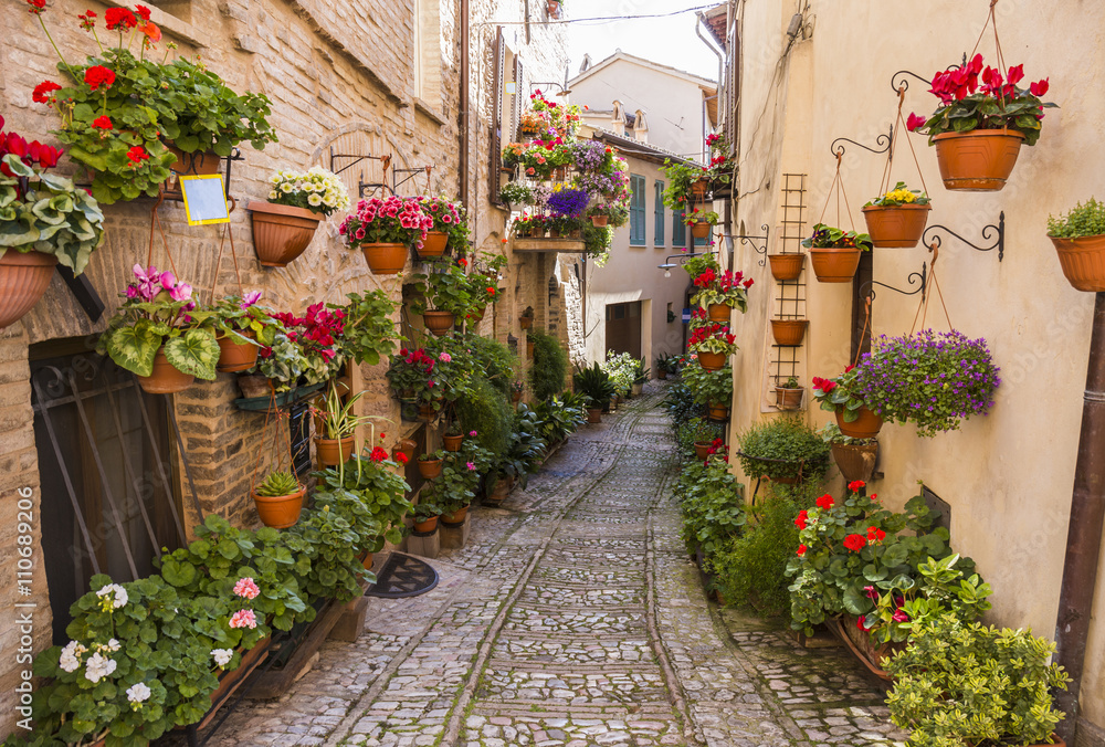 Fototapeta premium Kwieciste ulicy Spello w Umbria, Włochy.