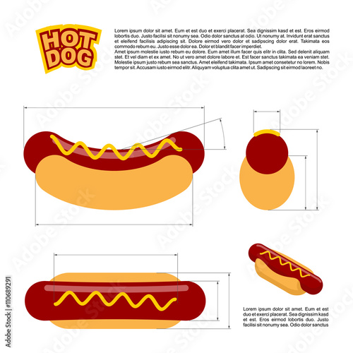 Hot dog infographics standard. reference  sizes of fast food. Dr