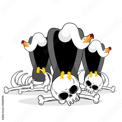 Vultures on skull isolated illustration. Griffon gnaw  remains o