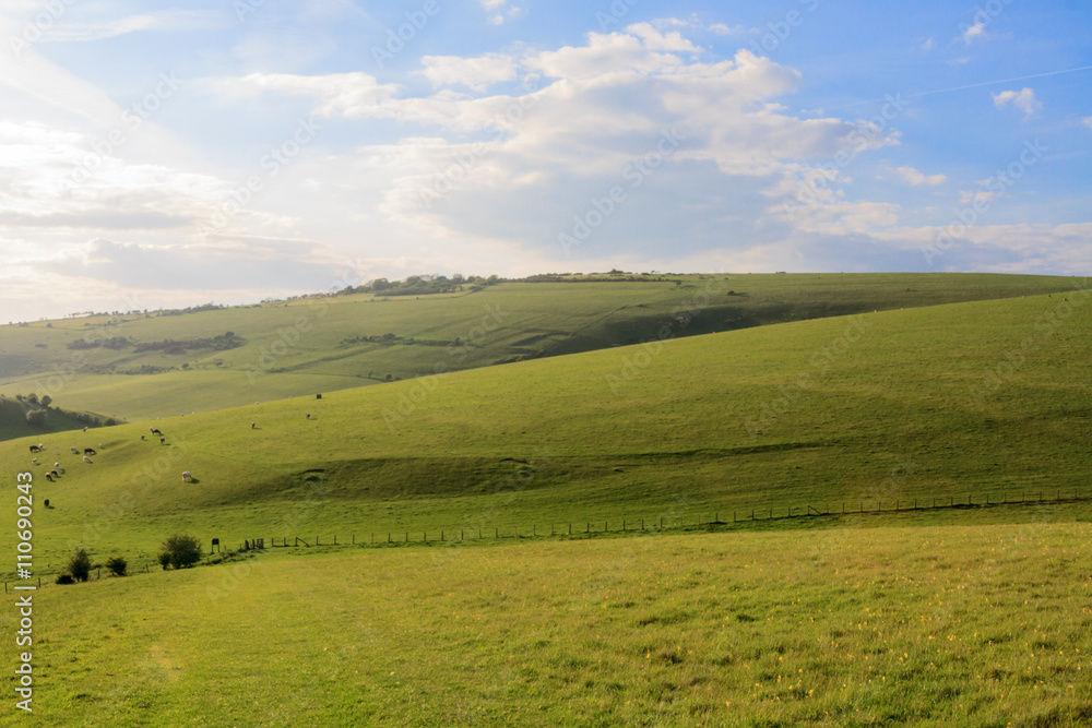 The South Downs

