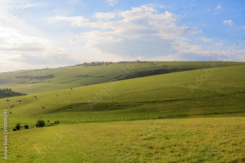 The South Downs 