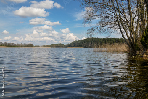 white clouds in blue sky and small waves on the surface of calm forest lake  Potsekh lake  Braslaw  Belarus