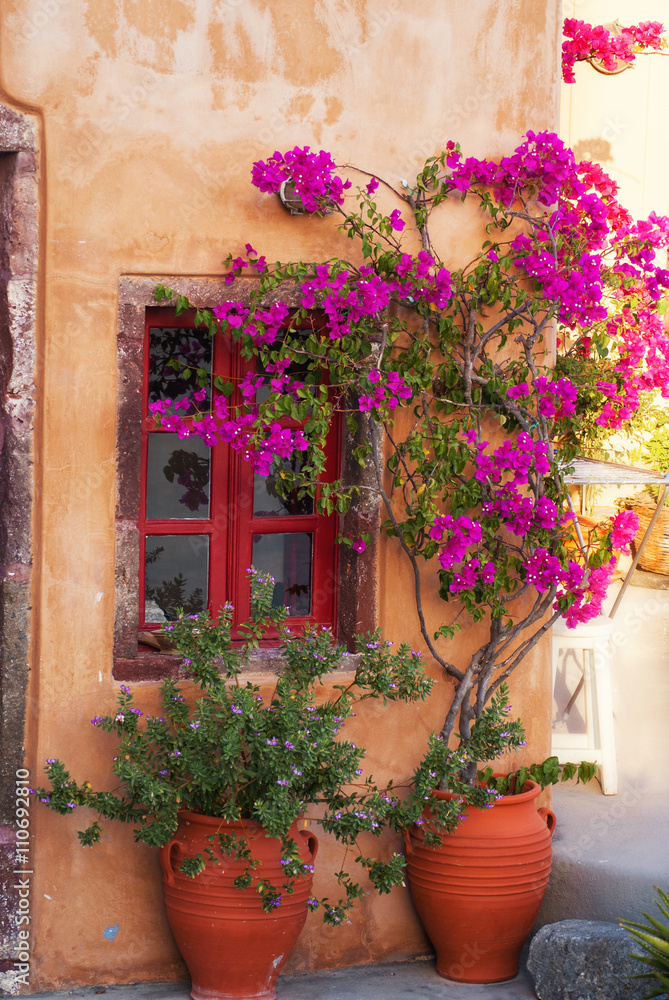 Traditional greek house with flowers in Santorini island, Greece