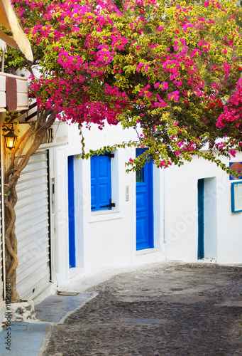 Traditional Greek srteet with white houses and blue windows and